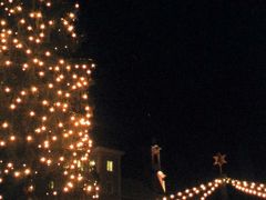 去年の願いが叶ったぞぉ！クリスマス市巡り☆～オーストリア～