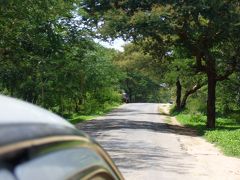 気ままたびINミャンマー（３）ポッパ山