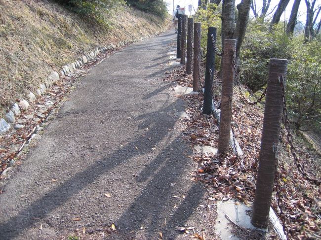 　　滝谷不動尊の縁日の日。河内長野行きの近鉄電車内は、熟年・壮年・老年？の熱気でムンムンになりつつあった。滝谷不動駅で下車して歩き出すと、その人出に驚かされた。狭い道の両側にズラリと店が並び大賑わいだ。野菜に始まり、回転焼き・豆類・フランクフルト・漬物・飴菓子・七味・靴！・アクセサリー・子供用シール・カバン・お好み焼き・赤飯。１００円のお好み焼きと３５０円の赤飯には長蛇の列だ。毎回同じような店が出しているのを知ってだろう。誘惑に負けずに買わなかった。コースの途中で滝谷公園に寄った。静かだった。少し歩いていくだけで高度がぐんぐん上がるのがわかって嬉しい。桜の木々が春の準備にかかっているのもわかる。日差しはもう春。どことなくウキウキしてくる。マンションの上にニョキッと突き出たＰＬの塔が不思議だ。