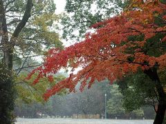 小雪降る紅葉の仙洞御所