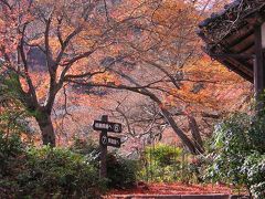 京都　西山の紅葉