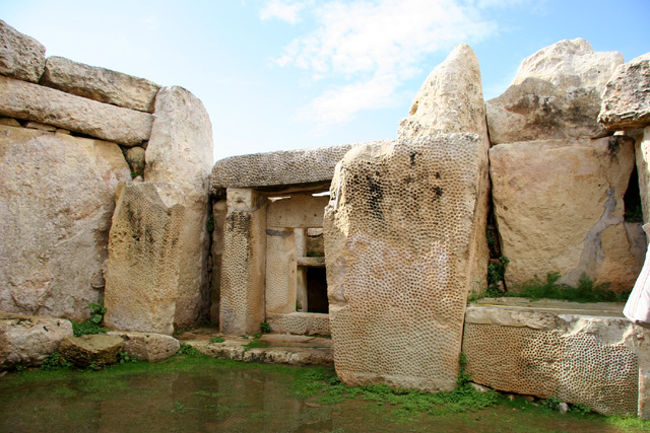 世界遺産・ムナイドラ神殿・・<br />前記のハガール・キム神殿から凡そ200mくらい離れた海側のところに建っている。こちらも建てられた時期はBC 3,000年−2,400年のものである。周囲を巨石に囲まれて内部は数個の部屋に区切られ、祭壇が置かれている。規模は小さいがかなり古いものである。ハガール・キム神殿から緩やかな坂を下って歩くが海が開け見晴らしはよく、また、美しい黄色の小さな花々が咲き長閑な感じである・・今から5,000年もの昔の巨石建造神殿が見られるなんて夢のようだ。<br /><br />詳細は<br />http://yoshiokan.5.pro.tok2.com/<br />をご覧下さい。