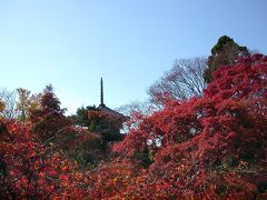 　大山崎　紅葉　平成１６年１２月