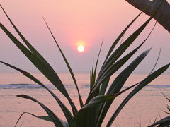 奄美?･･･アダンの島の海と夕陽