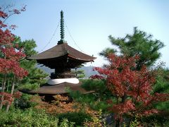 秋の京都2005　?嵯峨野＆祇園