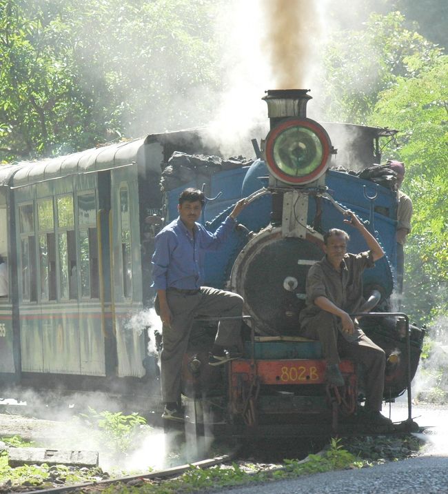 【ダージリン・ヒマラヤ鉄道全行程写真と解説】に載せきれなかった写真をこちらに集め、さらに詳しく説明いたします。<br />なお、ダージリンの街を詳しく知りたい方は【ダージリンの街並み散歩】をごらんください。