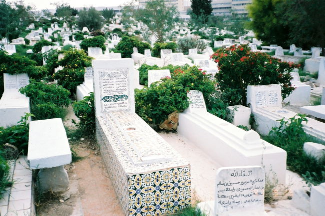 1997年度のチュニジア旅行で、イスラム墓地を見つけました。<br />場所は、チュニス、モナスティール、マーディーアとケルーアンの4ヶ所です。<br /><br />イスラム圏を旅行するのは、1994年のトルコ（カッパドキアとイスタンブール8日間）以来、2度目でしたが、イスラム墓地は初めて見ました。<br />惹かれるように写真を撮りました。<br /><br />表紙の写真は、チュニスのイスラム墓地です。<br />「ハイライトその2：タイル」でご紹介したものと同じです。<br />タイル装飾のある墓棺は、これくらいしか見かけませんでした。ごく少数派のようです。<br /><br />チュニスでは、観光案内所でもらった地図（フランス語）に、Cimetrie islamicとあって、気になっていました。なかなか広大です。<br />近くまで来たので、ちょっと足を伸ばしてみました。<br />道に沿って、壁が延々と続いています。<br />覗いてみたら……カメラを構えずにはいられませんでした。<br /><br />花でたくさん飾られたキリスト教圏の墓地とは、まただいぶ印象が違います。<br />へえーっ、イスラム墓地ってこういうかんじなんだ！と、とても珍しくて、何枚も写真を撮ってしまいました。<br /><br />最初は遠慮して壁の外から撮っていました。<br />それにも飽きたらず、入口を見つけたので中に入ってみました。<br /><br />入口付近でうろうろしながらパチリとやっていたら、墓守のおじさんがやって来ました。<br />緩やかとはいえイスラム教のチュニジア。もしかしたらお墓の写真を撮るなんて不謹慎だったかしら、とドキッとしました。<br /><br />それでなくても、実は市内で、白い壁にチュニジアン・ブルーが美しい官庁の建物（チュニジアの旗が立っていました@）を撮って、すれ違った通行人に、撮影禁止だよ、と注意されたりしたことがあるものですから……。<br /><br />と思ったら、「だれのお墓に行きたいのか」と、案内してくれるつもりだったようです。<br />きょろきょろしていたので、迷っていると思われたのかもしれません。<br /><br />だれか特定の人のお墓が目当てではなく、単にお墓そのものを見たいだけだ、ということを理解してもらうのに苦労しました。<br />墓地を見学する、という発想は、おじさんにとって考えられないことだったのかもしれませんね。<br />（あるいは単に、私のフランス語が下手くそだっただけ？）