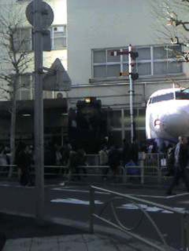 このたび東京へ用事でちょっと行ったついでに寄ってきました。実は今年の５月で閉館になります。