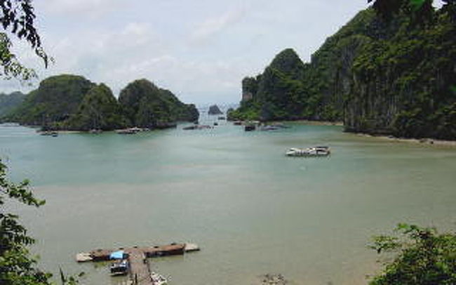 ベトナムの桂林ともいわれるハーロン湾は１９６９の奇岩が海から突き出ている。ベトナム人にとってこの地は神聖なるものだという。昔ベトナムが危険にさらされた時、母龍と子供たちがこの土地に降りてきて、国を守るためにずっとここにいるそうだ。続きはwww.wanderkirin.com/Vietnam/halongbay/halongbay.htm