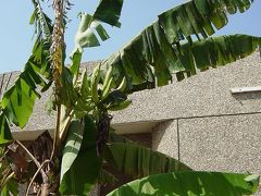 ガーナでの写真