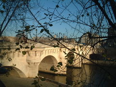 冬のポン・ヌフ　Pont Neuf