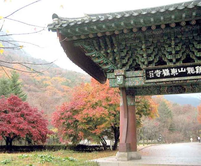 昨日大田から公州へにバスの途中で東鶴寺への入り口の標識が見えてついでに寄れば効率がよかったのにと思った。今日雨のおかげで俗離山に登らなかったのでこちらに廻れた｡<br />新羅中期724に創建され、後に高麗時代921に重建。麻谷寺の末寺で比丘尼の専門講院。また参道の紅葉で有名。少し晩かったが何とか間に合った。<br />バスは（昨日の公州行きだと入口から2kmほど歩くことになるので直行バスで行けと教えられる。<br /><br />本山の麻谷寺は大きな伽藍の寺で行きたかったが公州の更に向こうなので公州でローカルバスに乗り換える必要があり諦める｡レンタカーだといいんだが残念。<br />また東鶴寺の背後の山を越えると同じく末寺で紅葉で有名な甲寺に行ける。山越えのハイク服装の人が通るが晩い時間に一人で行くのは無謀と行くのをやめる。ちょっと慎重すぎたかな。