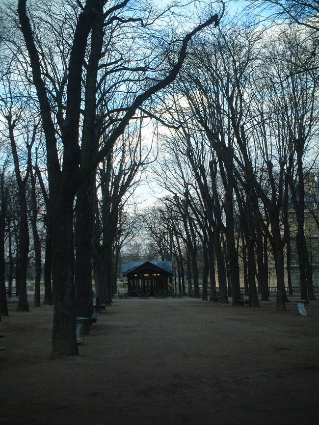 パリのリュクサンブルグ公園のいろんな顔をご紹介します