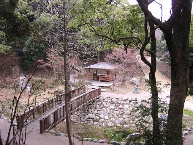 福岡市には昔から市民に愛されている大きな公園として南公園、東公園、大濠公園、西公園がある。　この中で久しく訪れていない公園として西公園があった。　当方の実家にかなり近いところとしてここ４０年間は訪れていない。西公園は桜の木が３０００本もあり、｢日本桜百選」にも選ばれている桜の名所であり、　小学校から中学校に掛けては桜のシーズンには必ずと言っていいほど一家で訪れていたことを思い出す。　このことから今回はシーサイドももち浜の延長線上として２月１９日午後に訪問した。<br />西公園は昔ながらの、叉変わり行く博多湾の展望には優れている場所であることが確認できた。また、４０年前には知らなかった色々な石碑等の歴史跡があることがわかり、有意義なウォーキングであった。<br /><br />(行程)西公園入り口〜西公園（立帰り天満宮〜光雲神社〜中央展望台〜紅葉谷〜光雲神社〜立帰り天満宮）〜福岡ドーム〜西新〜実家<br /><br />歩行距離：１２キロ，所要時間：４時間<br /><br /><br />＊写真は西公園の紅葉谷の風景