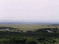 ■北海道旅行記②道東