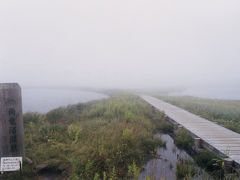 ■北海道旅行記③層雲峡～雨竜沼湿原～美瑛・富良野～小樽