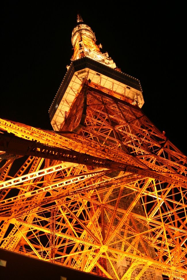 毎日見ている東京タワー。初めて上りました。<br /><br />高解像写真はこちら→ http://www.photolibrary.jp/profile/artist_88_1.html <br />こちらもよろしく → http://sanibei.blog9.fc2.com/