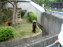 浜松動物園・ﾌﾗﾜｰﾊﾟｰｸ