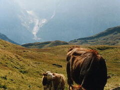 グリンデルワルトからバッハアルプ湖ハイキング(２００0年スイスの旅)