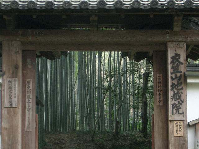 桂川の向こうの地蔵院で竹林の神秘に感動し、川を戻って梅宮大社で梅園を散策しました。昼食のあとは、御存知、北野天満宮。梅・梅・梅でとても幸せな気分になりました。春になりました。心もほころびます。