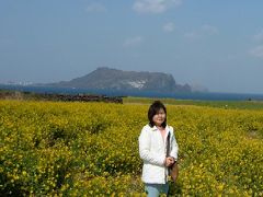 菜の花咲く済州（チェジュ）島　５１５４４歩の旅