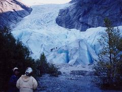 フィヨルドをクルーズし、凍結した氷河を見る