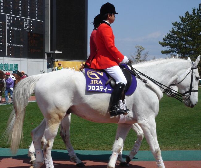 中京競馬場で行われる名物レースの「名鉄杯」観戦へ。<br />もちろん各種名古屋めしも堪能！！。