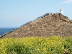 チェジュ島の風景