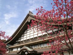 春の花 その2　鶴見総持寺