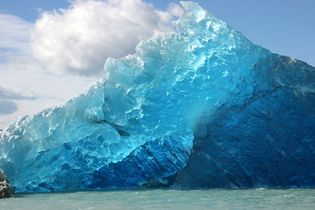 これがグレーシャー・ブルーだ！・・<br />この美しいブルー！初めて目にされた人は「何で！こんなに蒼いの・・信じられない！」と驚く。グレーシャー・ブルーと云われているが氷河の氷塊が反射するブルーだ！実に神秘的な美しさだ・・。普通の氷とは違い、何万年も掛けて強く圧縮され、非常に氷密度が高いため光を反射することが少なく、波長の短い青色のみが反射されるからだ。南極やグリーンランドやアイスランドやこの南米・パタゴニアやアラスカまで行かないと見られない。私はこのグレーシャー・ブルーを撮るために出掛けた・・<br /><br /><br />詳細はhttp://yoshiokan.5.pro.tok2.com/<br />旅いつまでも・・★画像 旅行記<br />をご覧下さい。