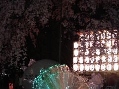・゜・.・゜・上野公園・゜・桜＆ナスカ展！！・゜・.・゜・