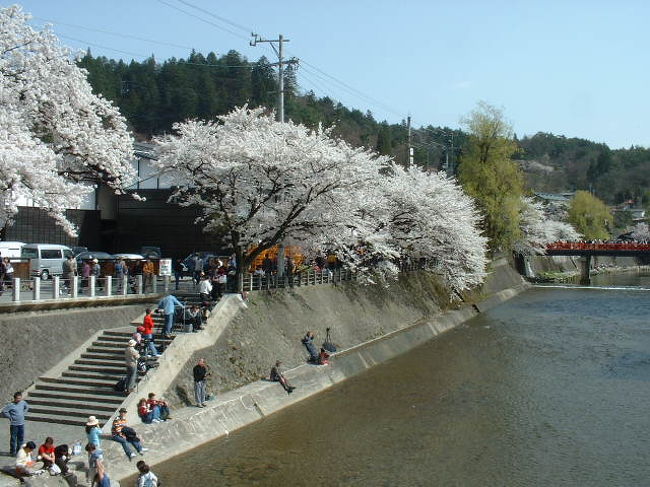 日帰りで、高山祭に行って来ました。<br />関西では、終っている桜、こちらでは今が盛りです。