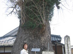 磁石の町有田散策