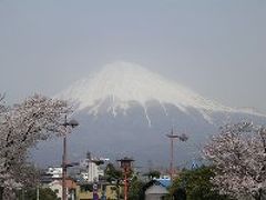 日帰り(横浜発)　富士宮→三島