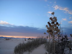 White Sands (2)  04/01/06