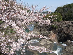 春のドライブ旅行　その1