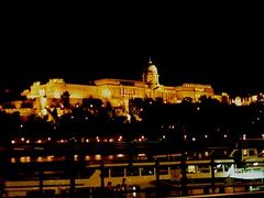 ﾊﾝｶﾞﾘｰ【ﾌﾞﾀﾞﾍﾟｽﾄ】