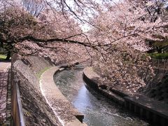 和田堀公園散策