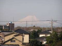 我が家からの富士山　その24 真っ白な山容