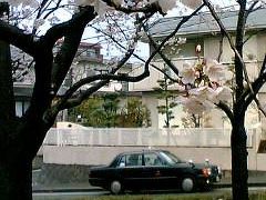 ★私の住む小倉の「桜の風景」～そして「門司駅の北側」・・・の旅。