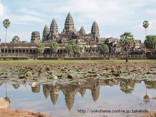 アンコルワット VANSとALVA SKATESの40年にわたる歩みを記念したコレクションが