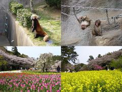 850円でとっても楽しめた浜松フラワーパーク＆動物園