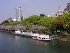 大阪造幣局桜通り抜けー?　平成１７年春