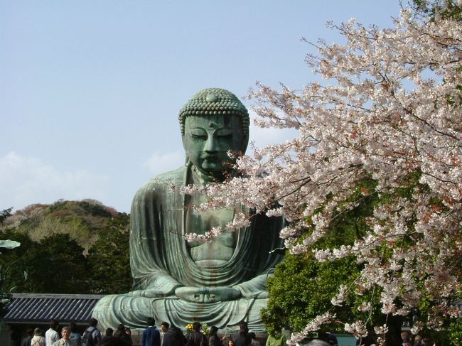 一番杉本寺→十番報国寺→九番浄妙寺→八番明王院→七番光触寺→五番来迎寺→二番宝戒寺→二十二番極楽寺→二十一番成就院→四番長谷寺→二十三番高徳院<br /><br />4月8日、潅仏会なので鎌倉三十三ヶ所巡りに出かけました。<br />甘茶、すっごい大好きなのでどこかでいただけるといいなぁ。