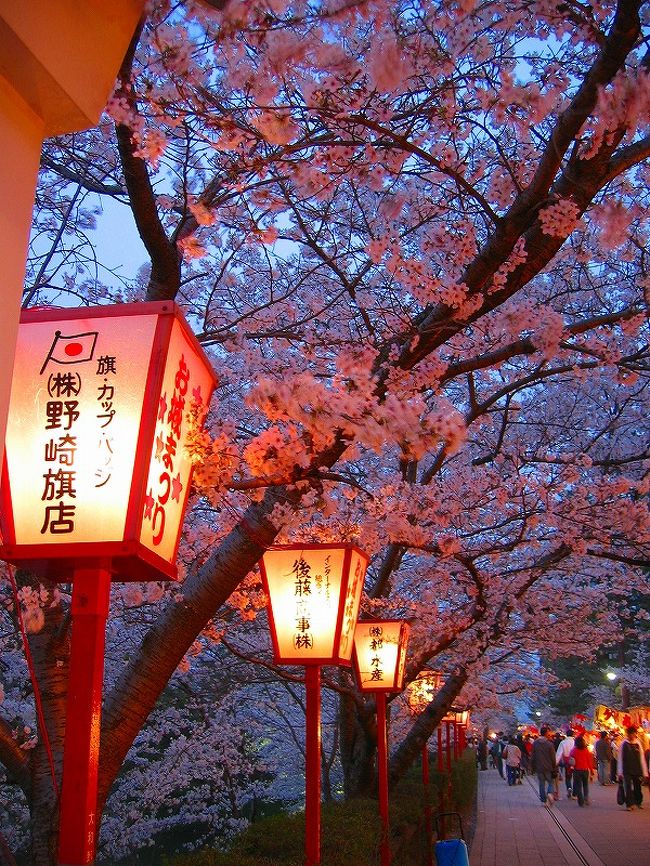奈良県　大和郡山城跡で行われている　お城祭りに行って来ました。<br /><br />お堀を埋め尽くす　満開の桜が美しかったです。