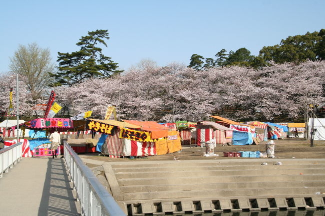 NHKのドラマ純情きらりの町、岡崎の桜