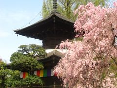 鑁阿寺・足利学校を訪ねて☆　文化の香り・郷土愛を感じながら