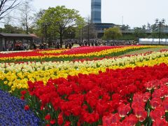 ■木曽三川公園  「チューリップ祭」■ Kiso 3 river park 「　Tulip festival　」