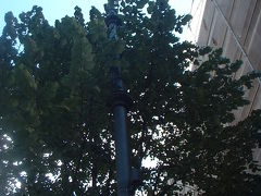 ２００５年初夏旅行・６～１０日目 Berlin　その２