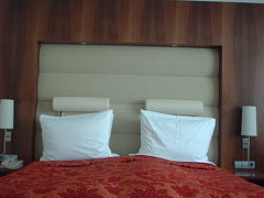 ２００５年初夏旅行・６～１０日目 Berlin　その３